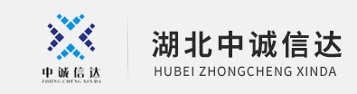 湖北买球官方旗舰店官网(中国)官方网站项目咨询有限公司